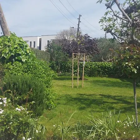 Olive Tree דירה זאדאר