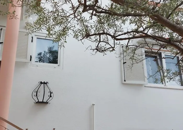 Olive Tree * זאדאר