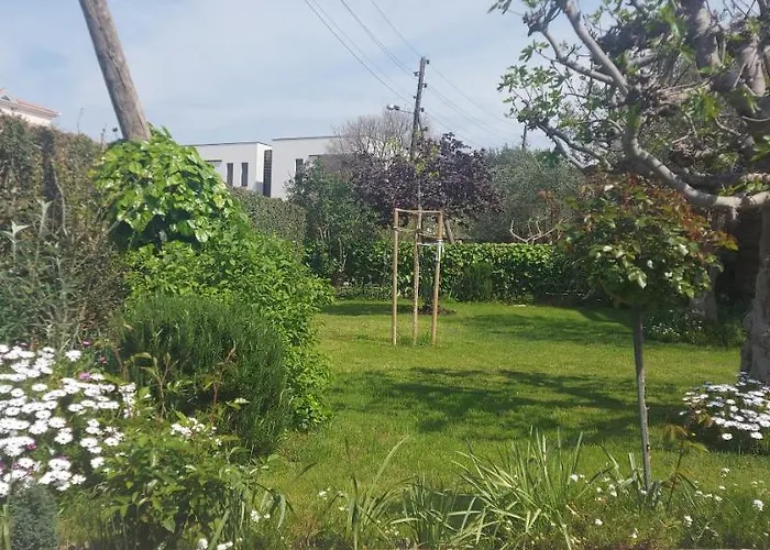 Olive Tree Apartamento Zadar