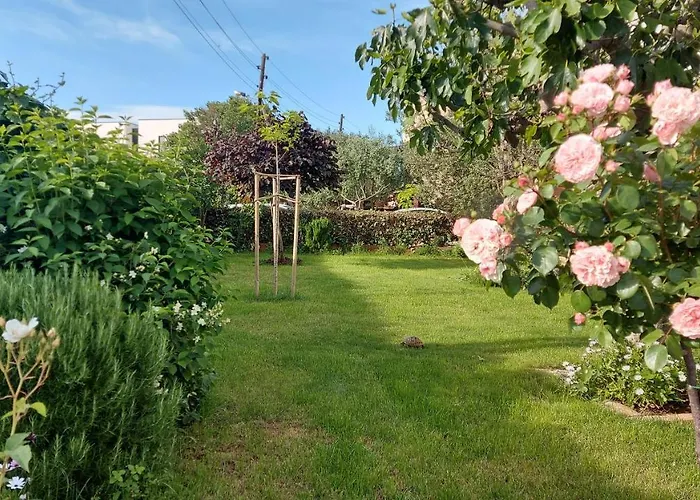 Olive Tree Apartamento